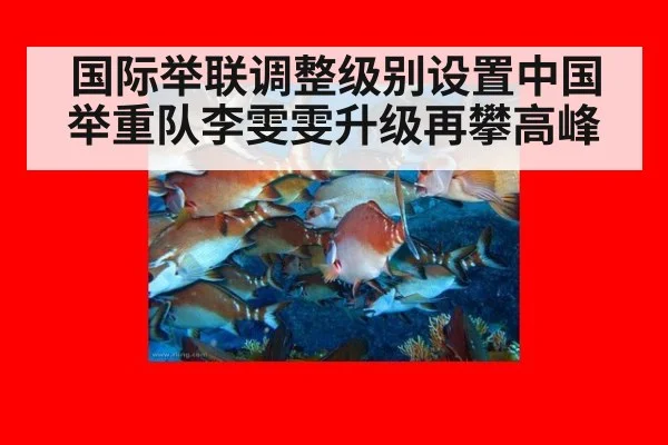 国际举联调整级别设置中国举重队李雯雯升级再攀高峰